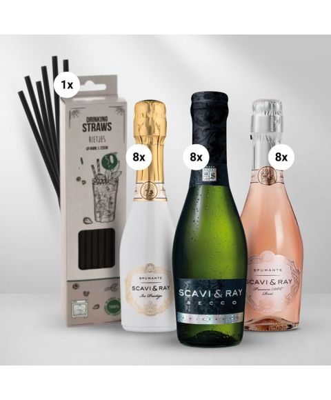 SCAVI & RAY italienisches Luxus Komplettpaket mit insgesamt drei Sorten 200ml Piccolo Flaschen und 50 wiederverwendbaren Trinkhalmen. 8x Prosecco Frizzante, 8x Ice Prestige Spumante, 8x Prosecco Rosé