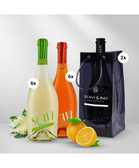 SCAVI & RAY Hugo Sprizzione Aperitif Bundle Sparpaket mit Ice Bags Flaschenkühler