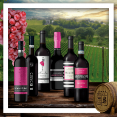 Weinprobierpaket von SCAVI & RAY mit 6 verschiedenen Rotweinflaschen auf Weinberg Hintergrund