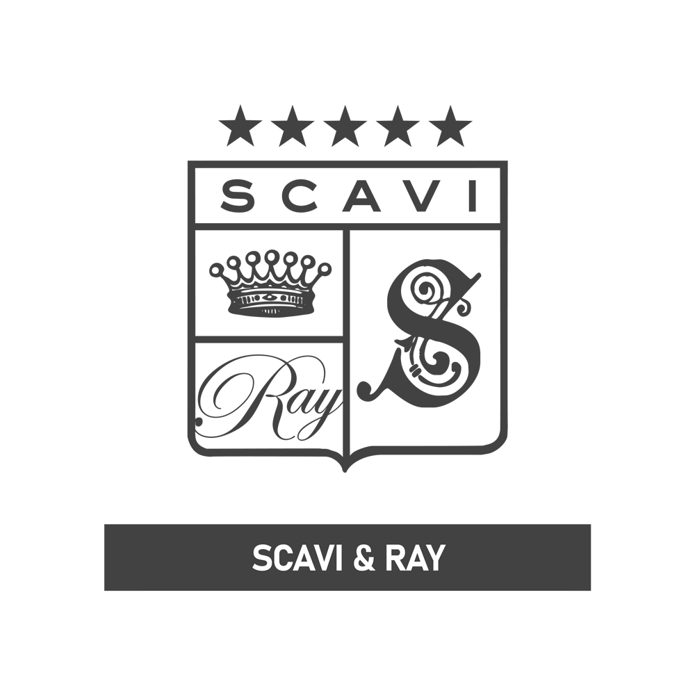 scavi-and-ray-logo